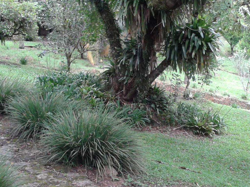 Pousada Recanto Aguas Vivas Turvo dos Gois Dış mekan fotoğraf